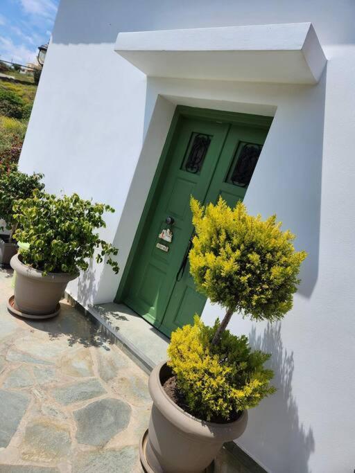 Stellinas Pretty House Villa Ándros Exterior foto